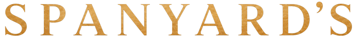 light logo